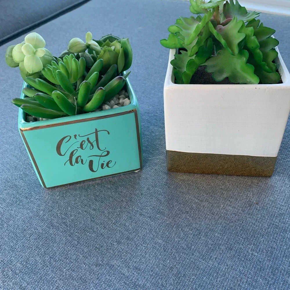 Fake succulent plants. Small.  Dorm decor
